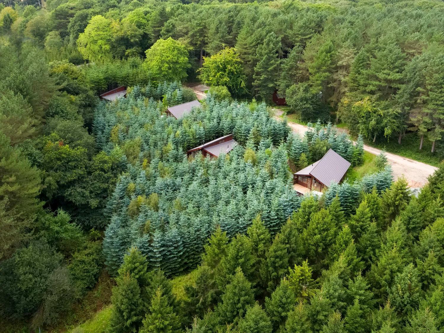 Delamere Forest Cabins - Forest Holidays Mouldsworth Exterior foto